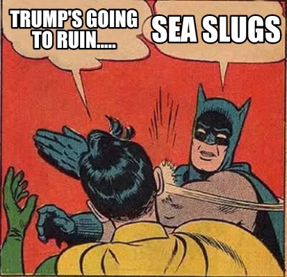 The One Solution That Could Save Us Now