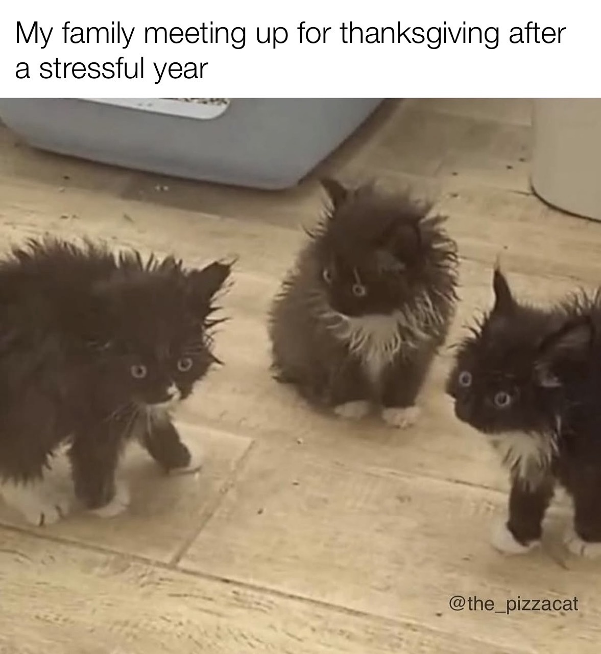 Navigating the Chaos of Thanksgiving Stress