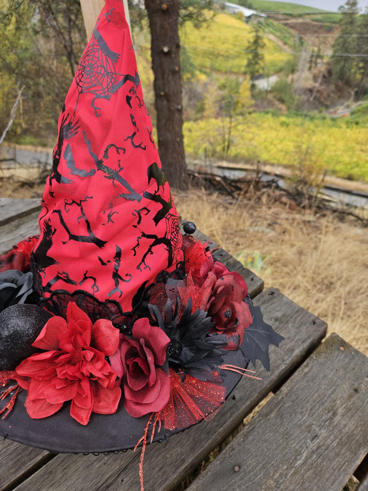 The Mysterious Red Witch