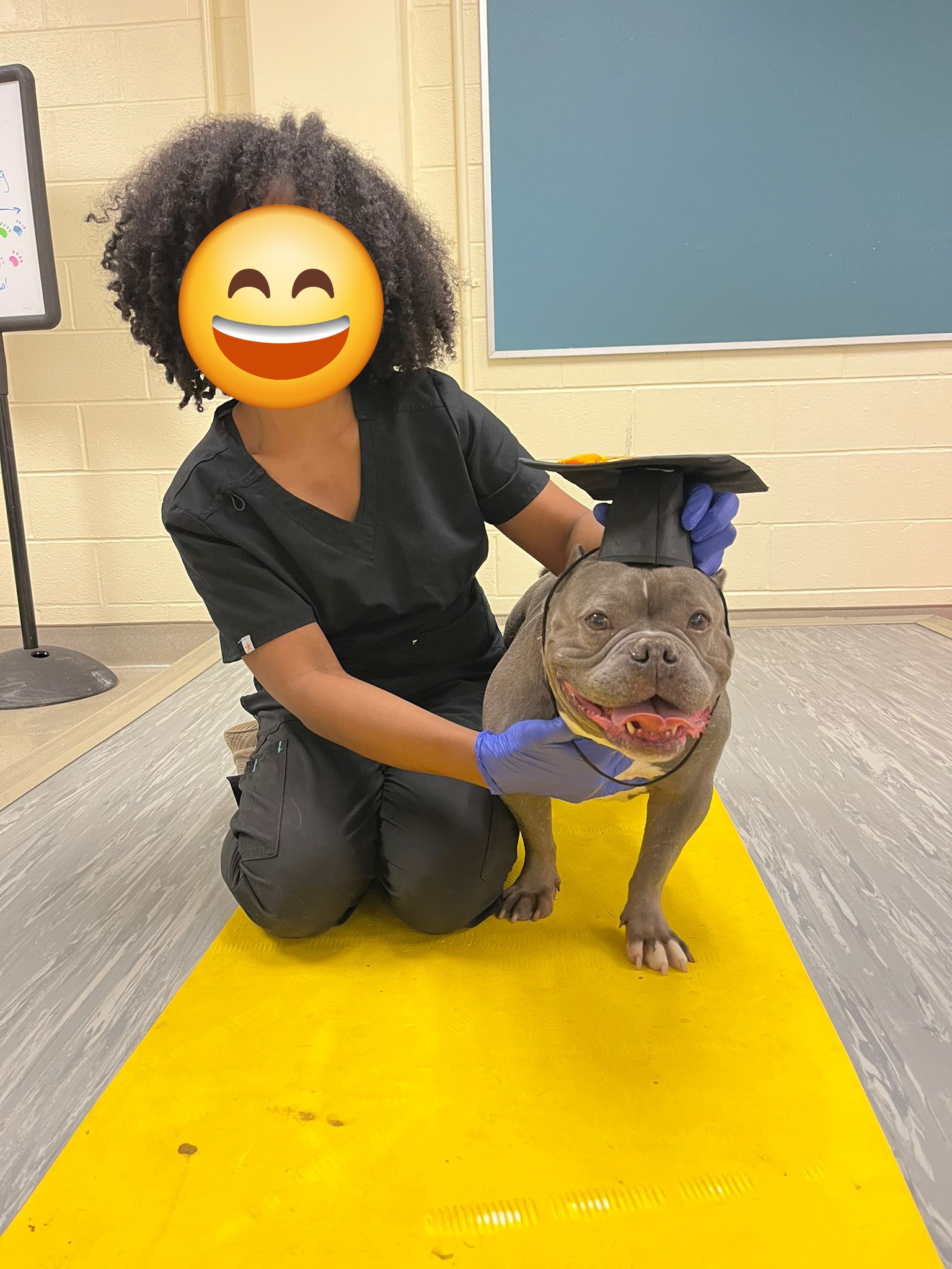 Way to Go, Pebbles! You Did It!