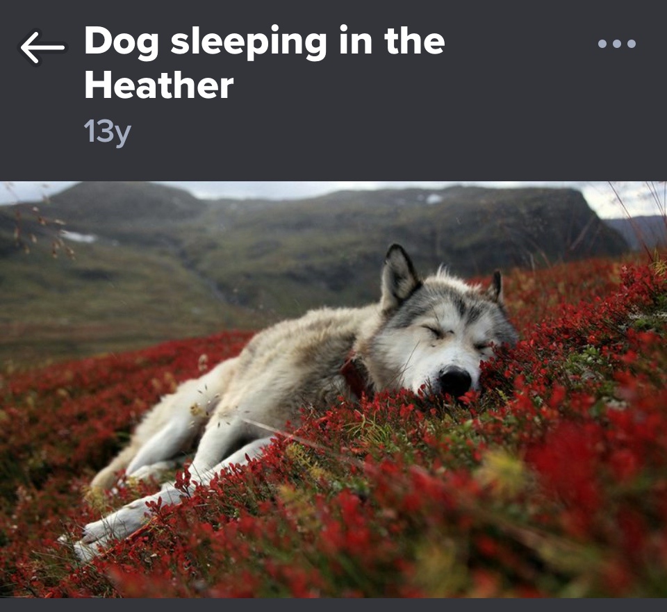 Celebrating My Cake Day: Officially a Teenager and Exhausted!
