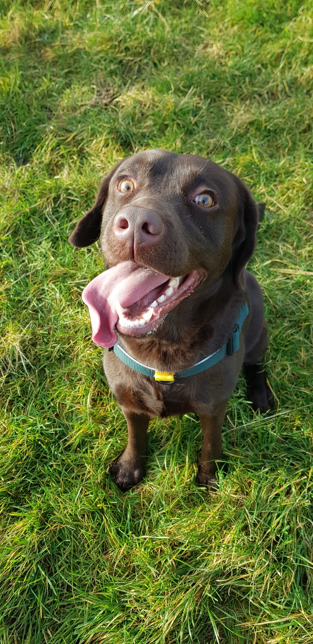 Just a happy little boy enjoying life