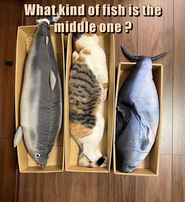 A Catfish Surprise!