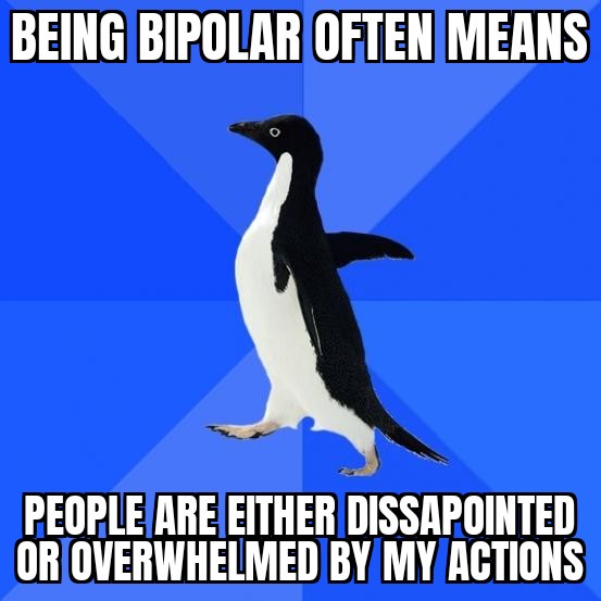 The Rollercoaster of Emotions: Bye Polar