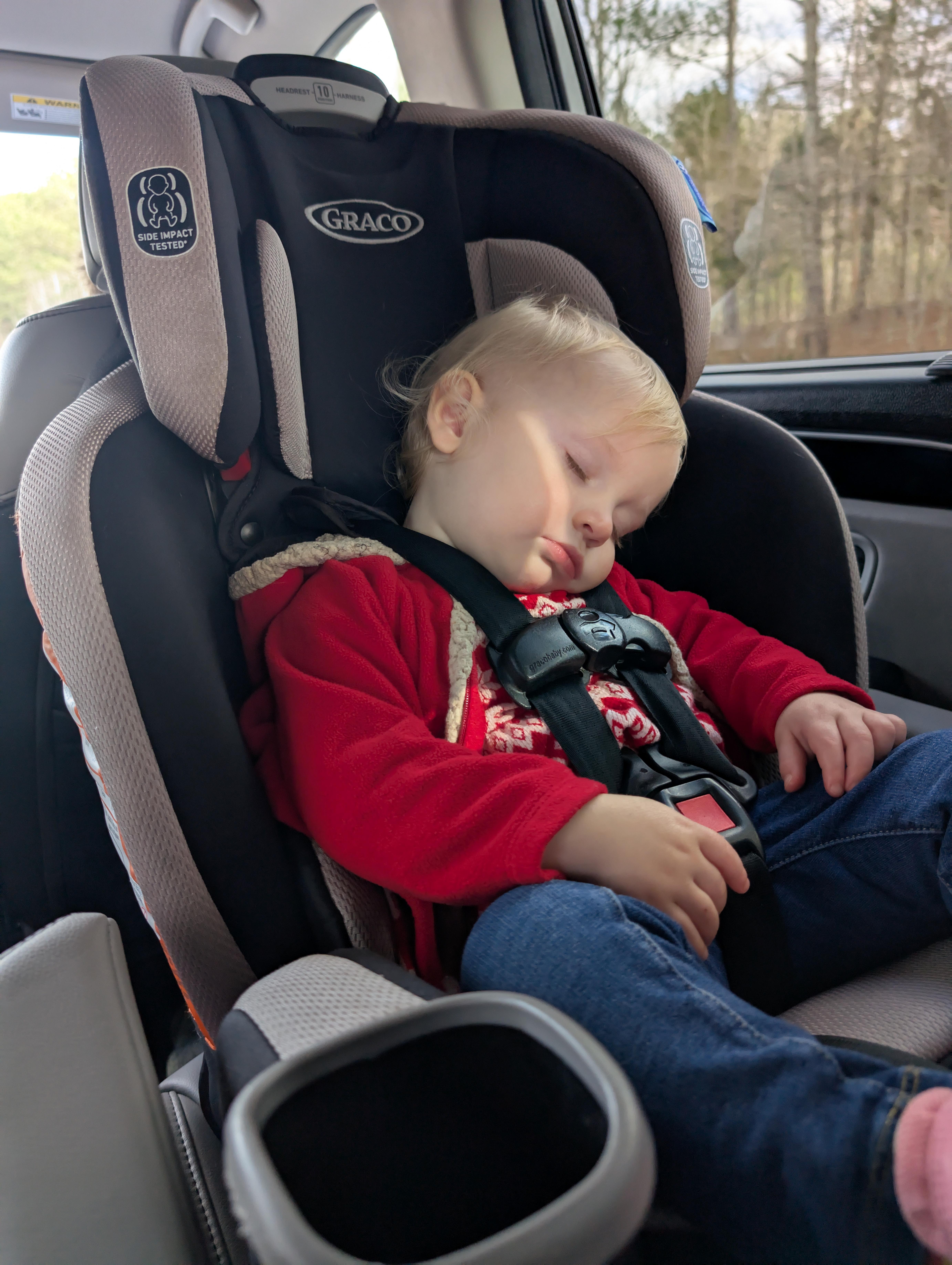 The View from the Backseat of Our Family Road Trip!