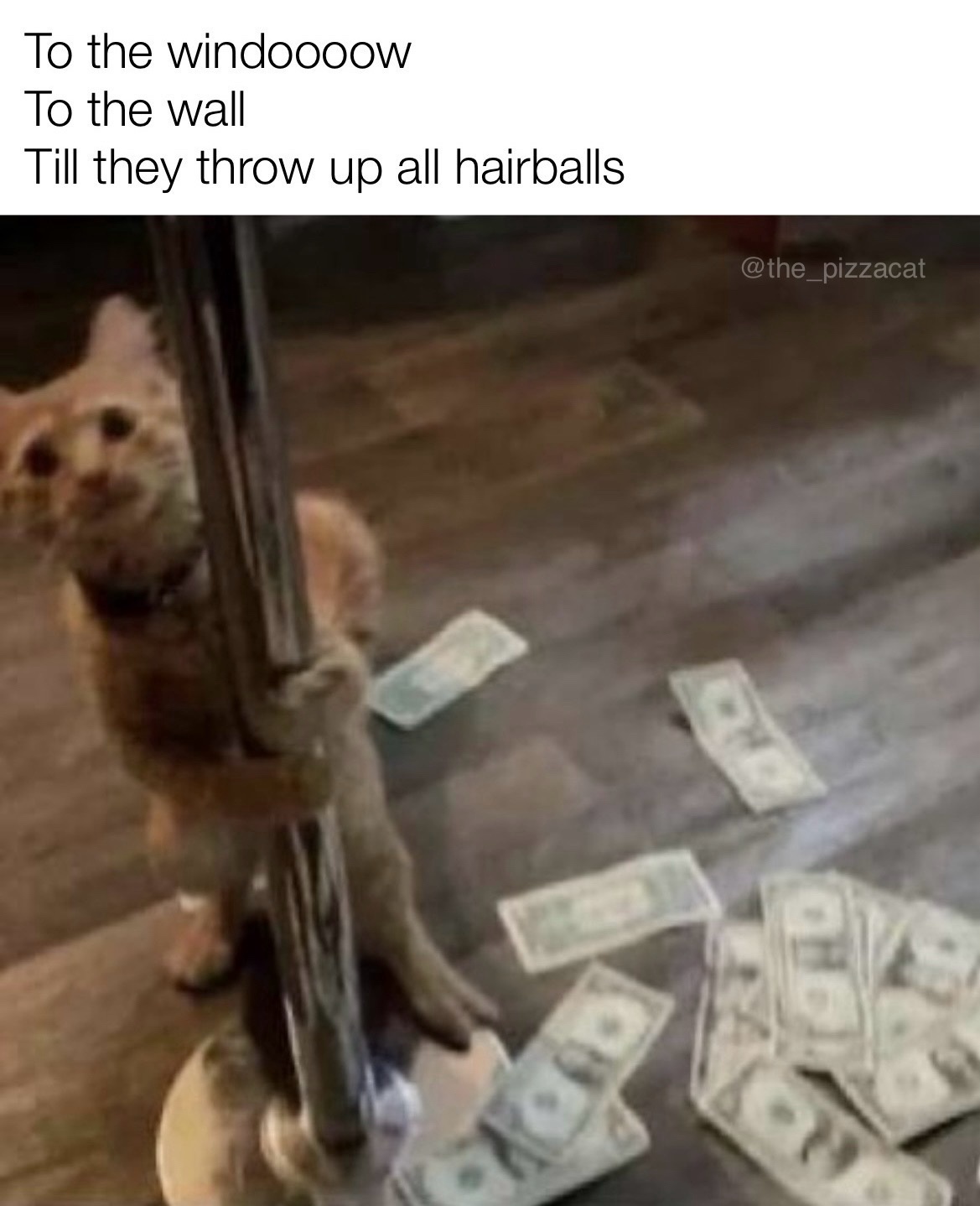 A shoutout to all the meow enthusiasts out there!