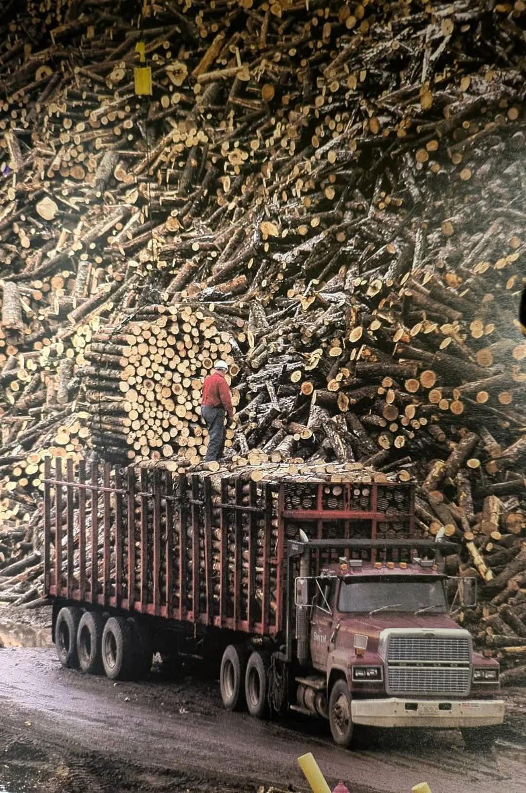 A Glimpse into Logging Life in Bangor, ME, 1982