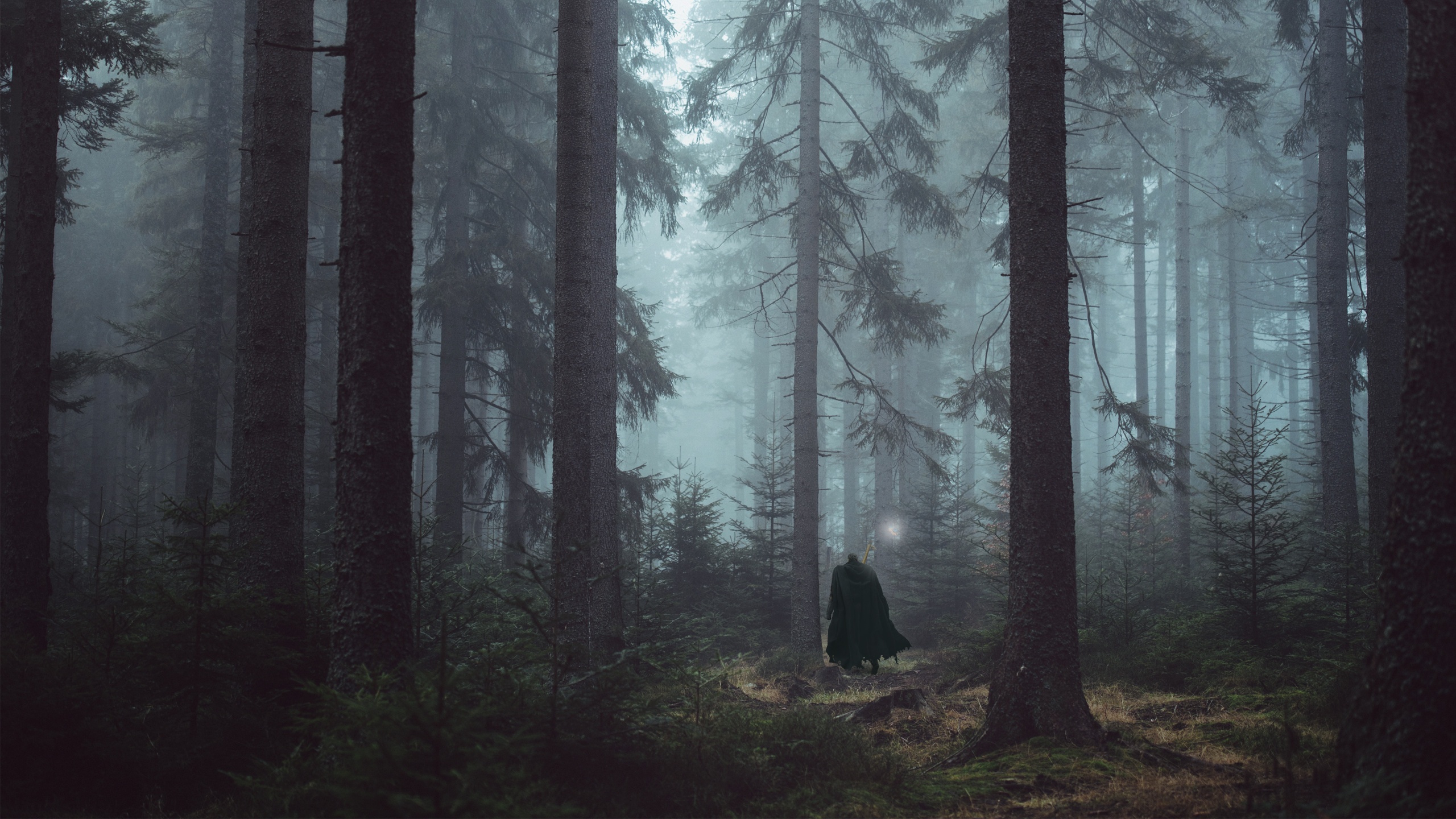 Berserk Forest: A Journey Through the Wild and Untamed