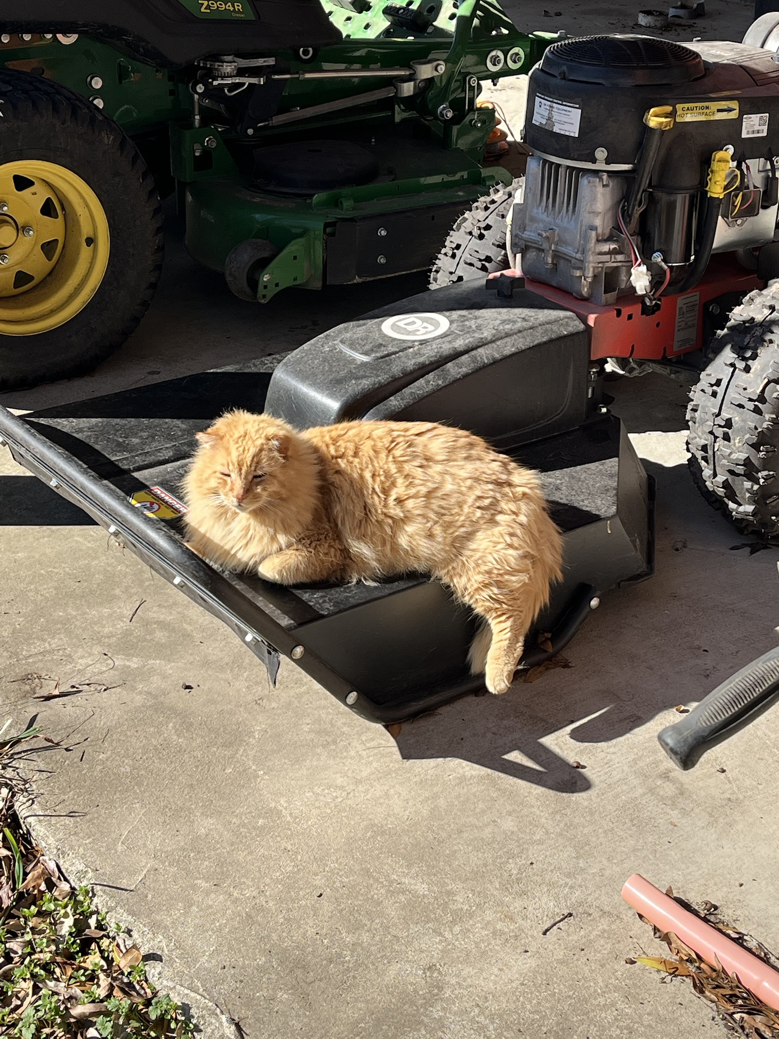 He has officially claimed the weedeater!