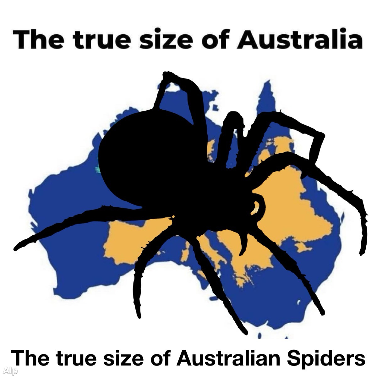 This Seems Spot On!