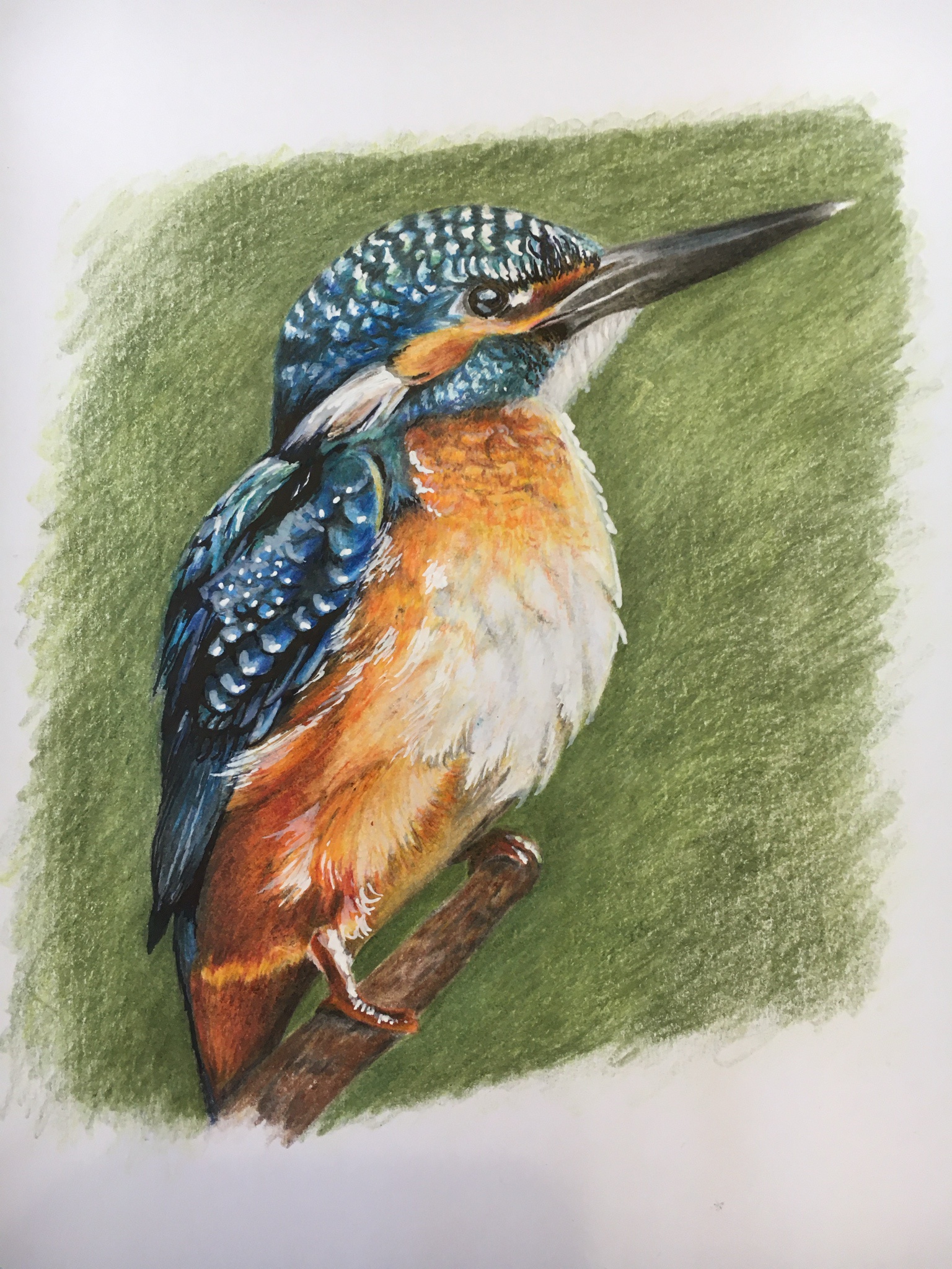 Artistic Interpretation: Kingfisher Drawing