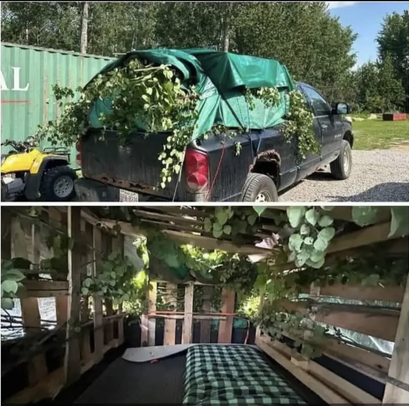 The Art of Stealth Camping