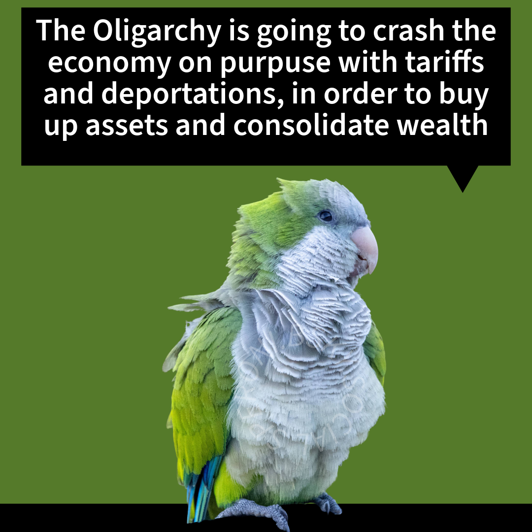 What other reason could there be for policies that everyone knows will tank the economy?