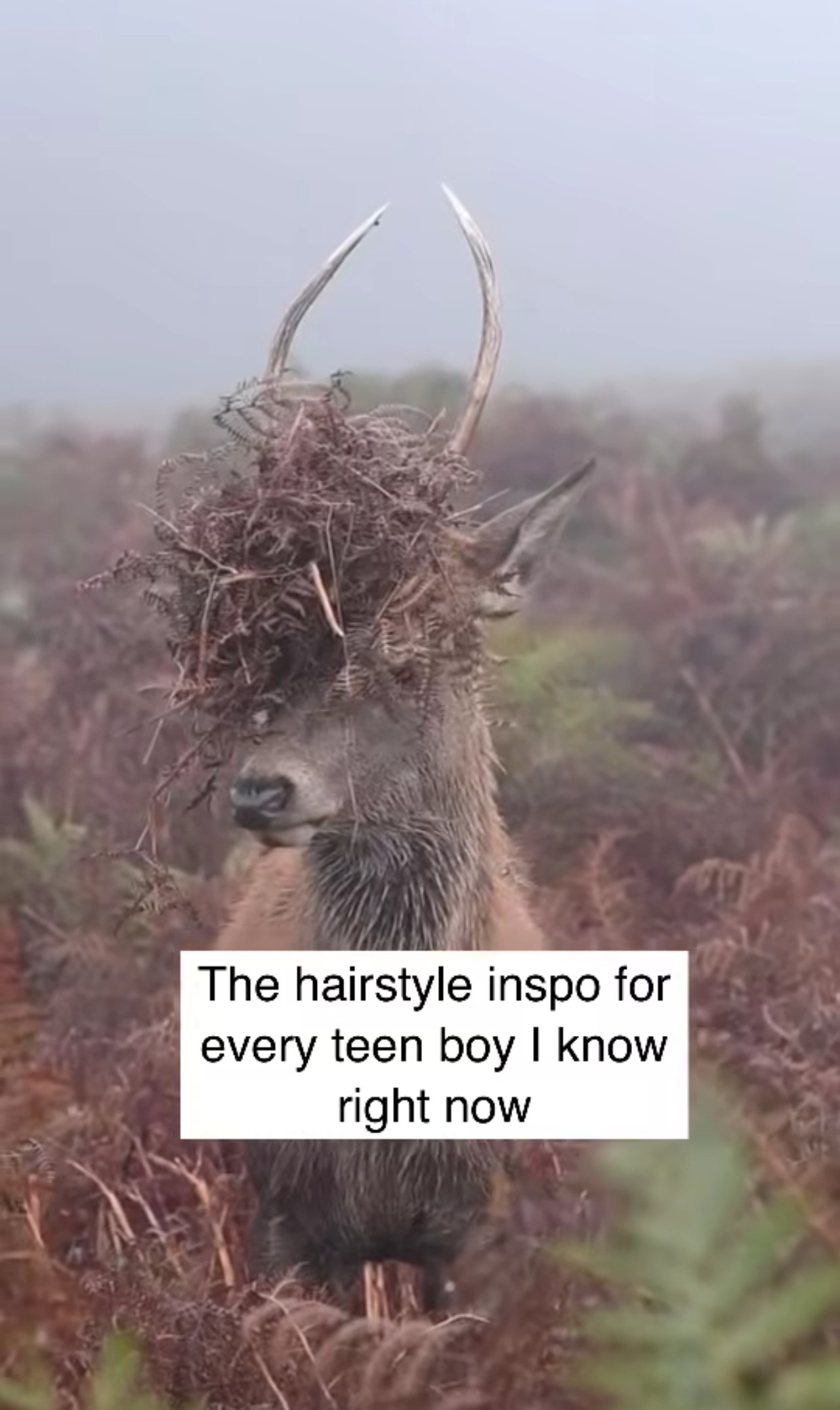 Just a Simple 'Fr'