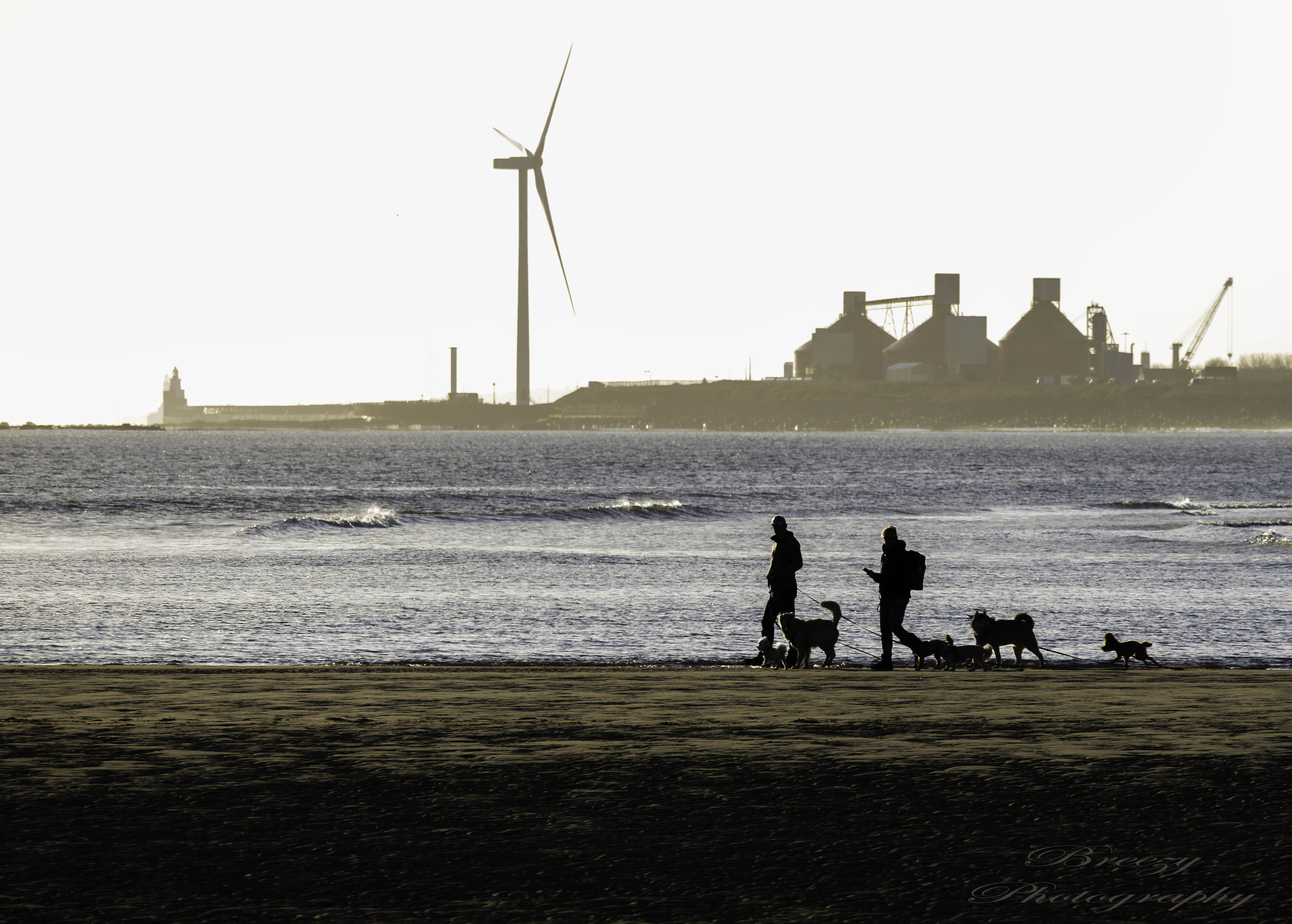Silhouette Harmony: A Visual Symphony