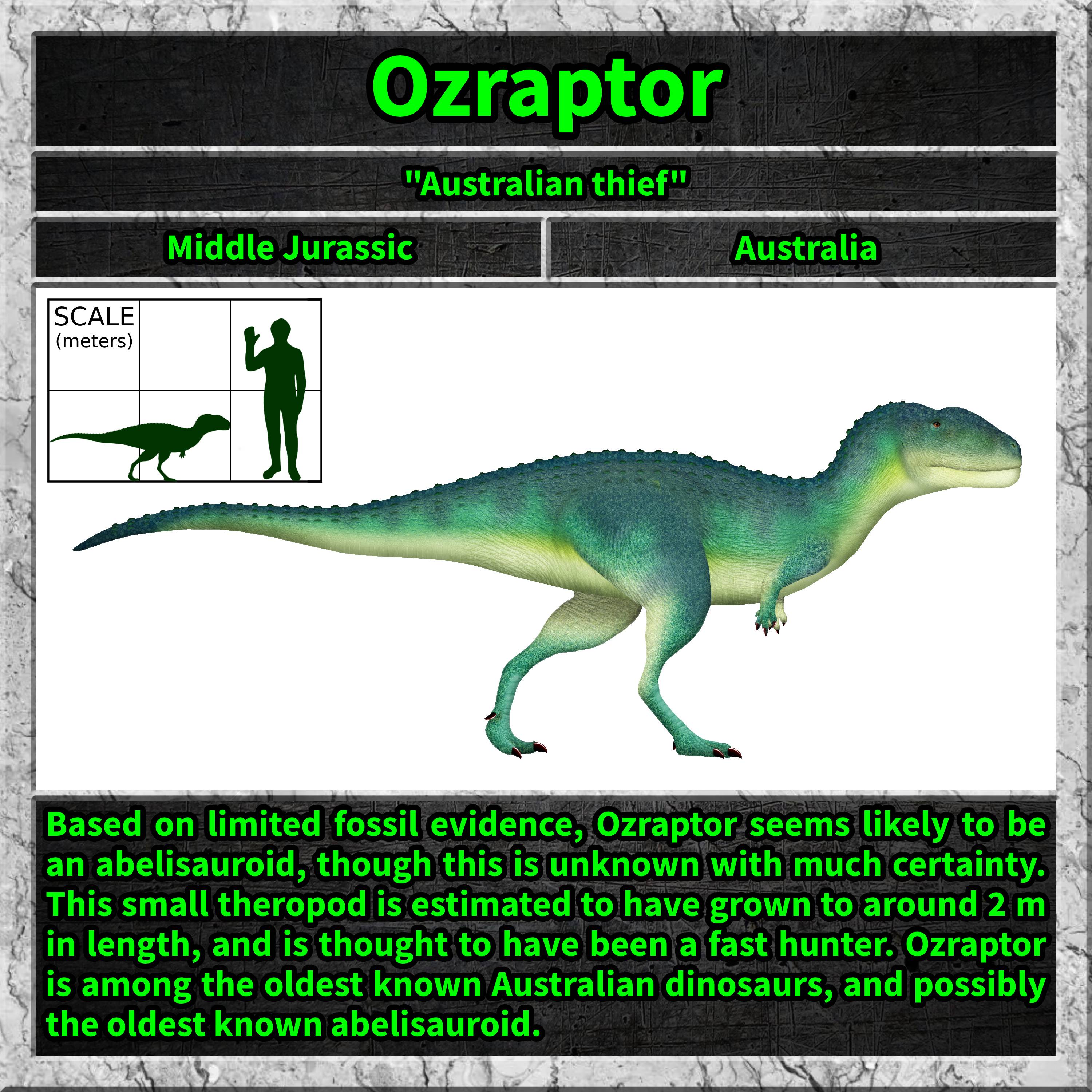 Meet the Ozraptor: Nature's Unique Predator