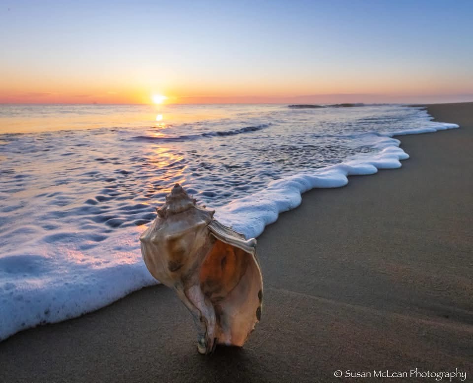 The Magic of Sunrise: A Daily Inspiration