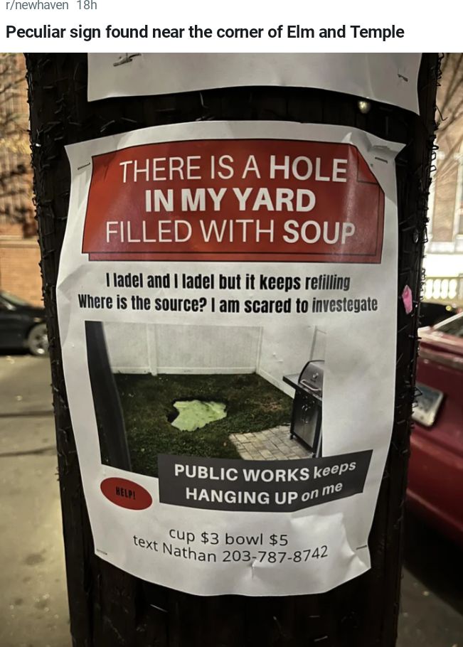 A Glimpse of Life in New Haven