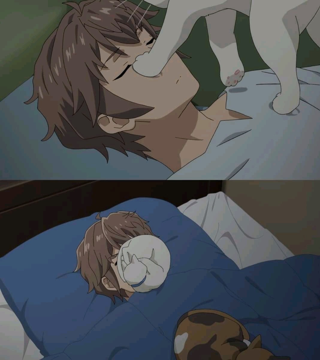 The Routine of Every Night: A Familiar Tale