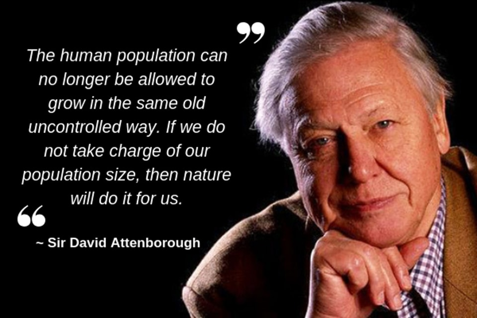 A staggering 3% of the world's mammalian mass consists of wild animals, while over 30% are humans and more than 60% are our food. Countless evolutionary paths are being erased, and our existence is shaping technology. We're digging our own grave.