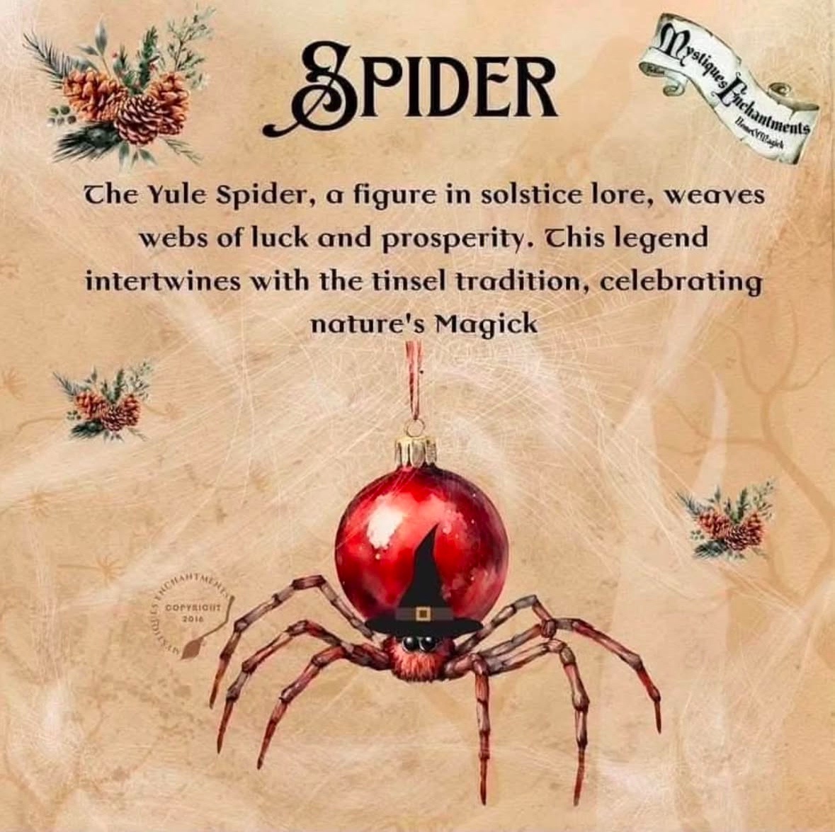 Day Whatever: My Ongoing Quest to Change Minds About Spiders