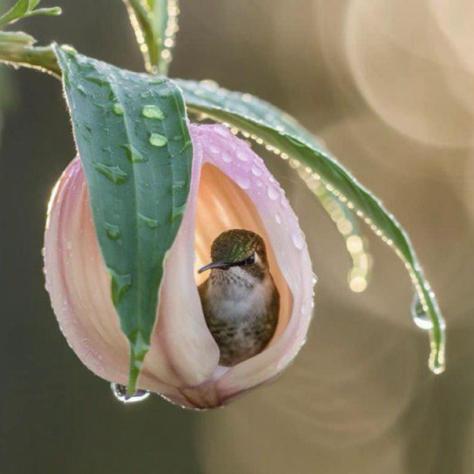 Finding Shelter from the Rain: A Cozy Escape