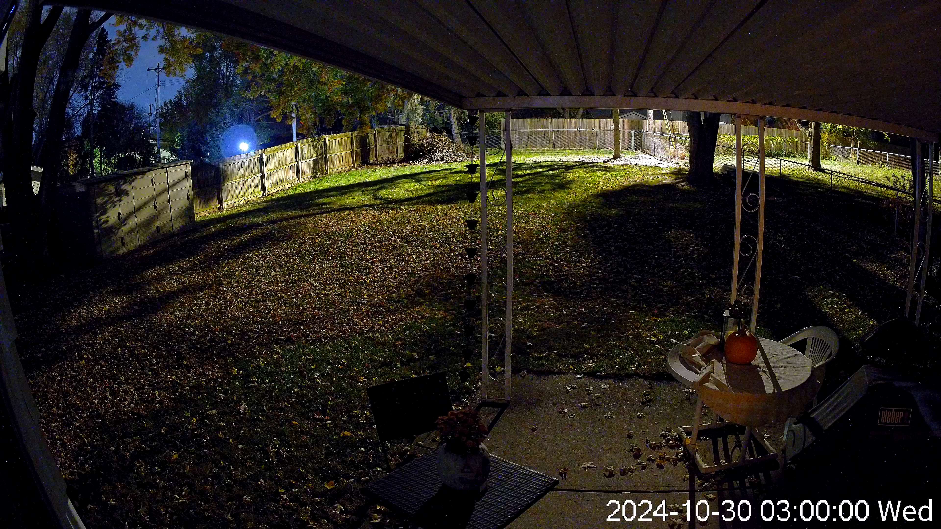 Late Night Backyard Vibes: Capturing the Moment in 4K