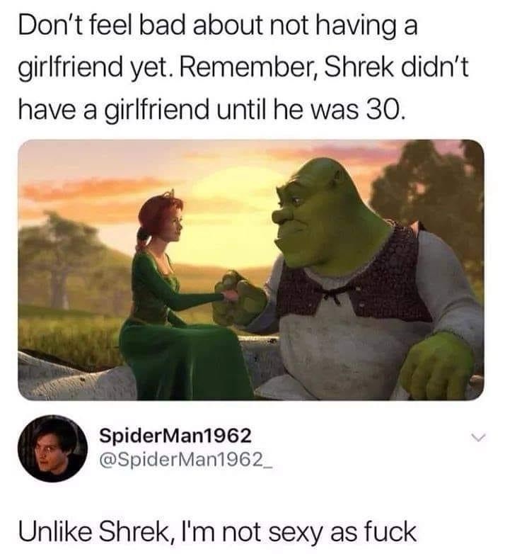 Shrexy: The Perfect Blend of Shrek and Sexy