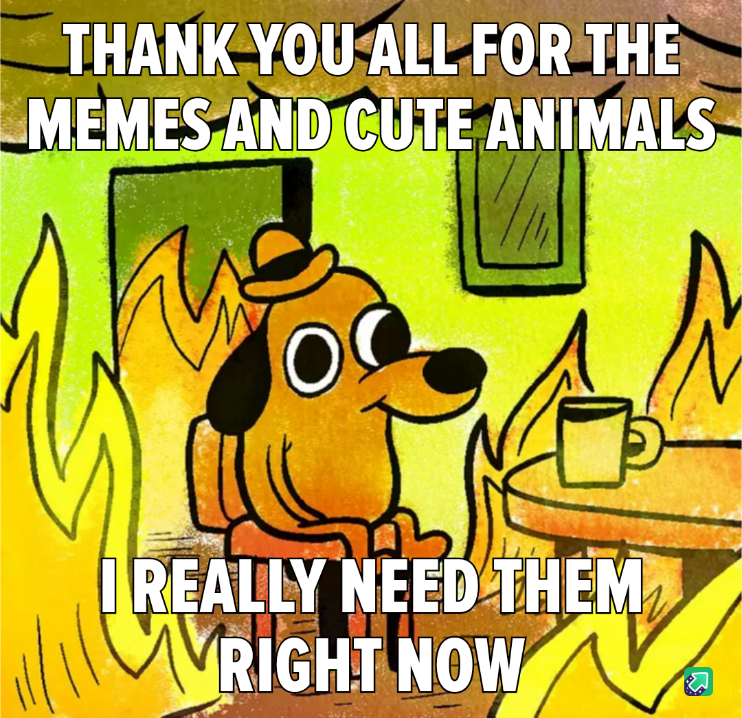 Honestly, Your Support is Saving My Life Right Now!