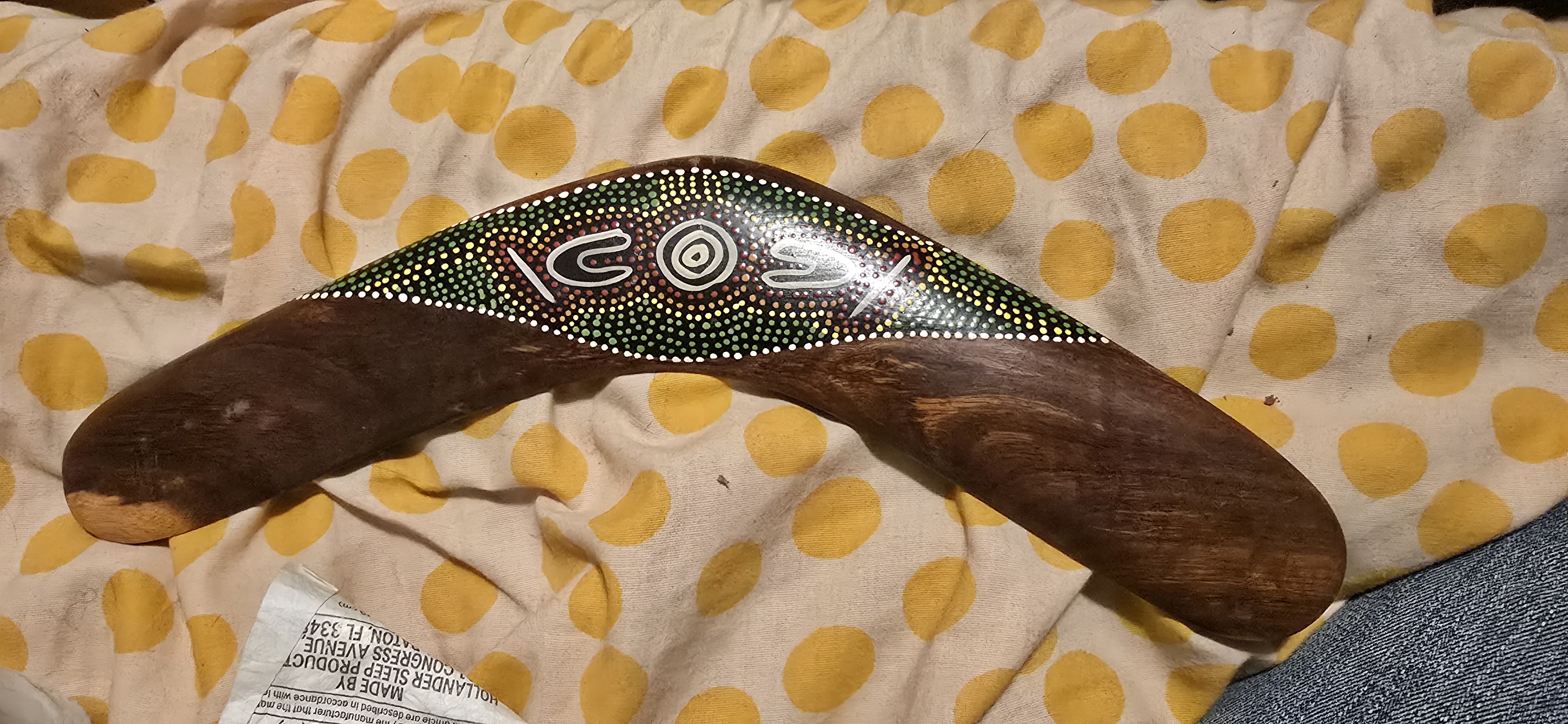 My Grandmother Brought This Back from Australia, But It Never Worked