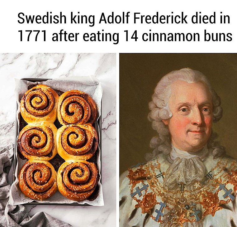 A whimsical journey through the history of cinnamon and the legendary cat tax