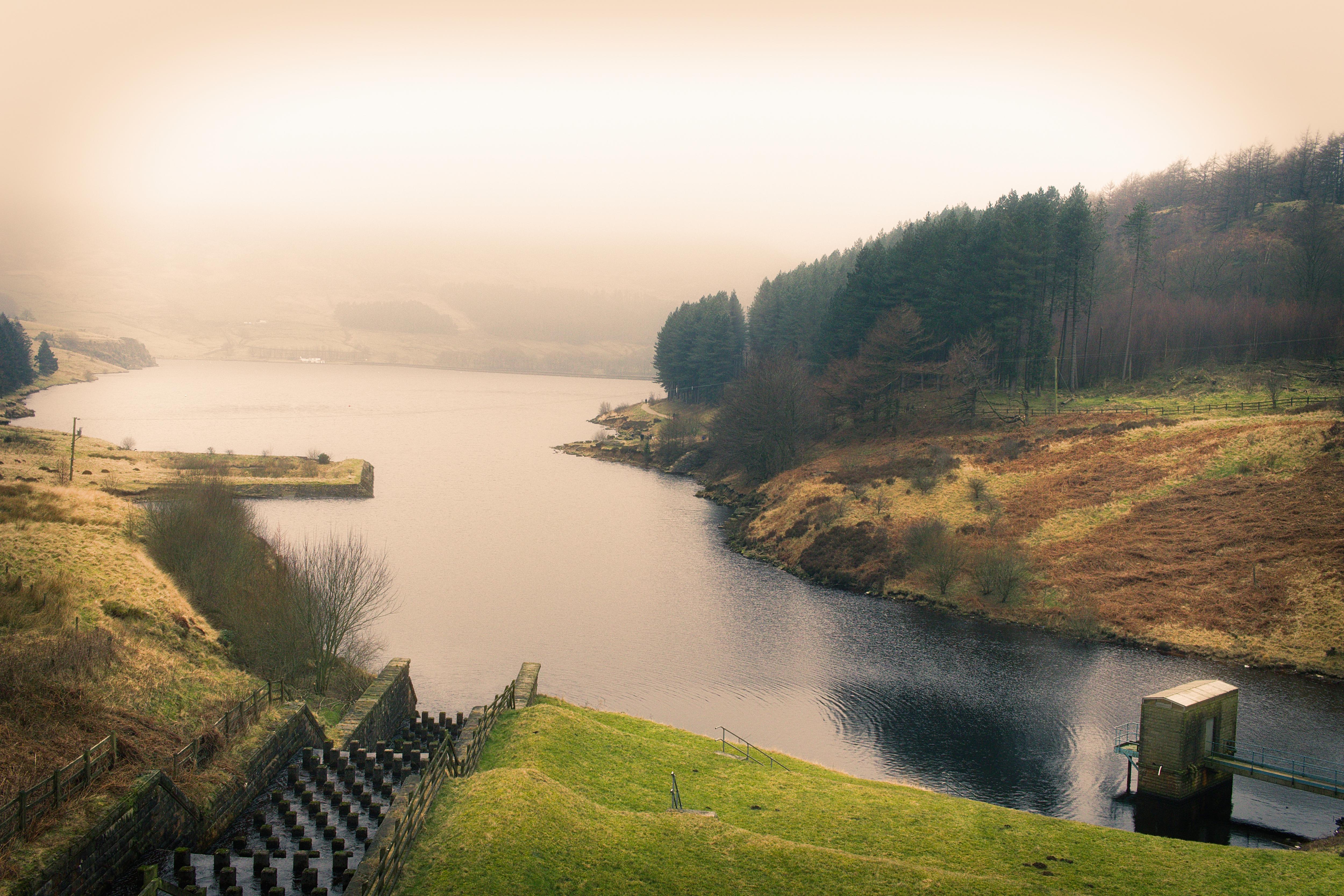 Misty Dovestones: A Scene from England's Fog