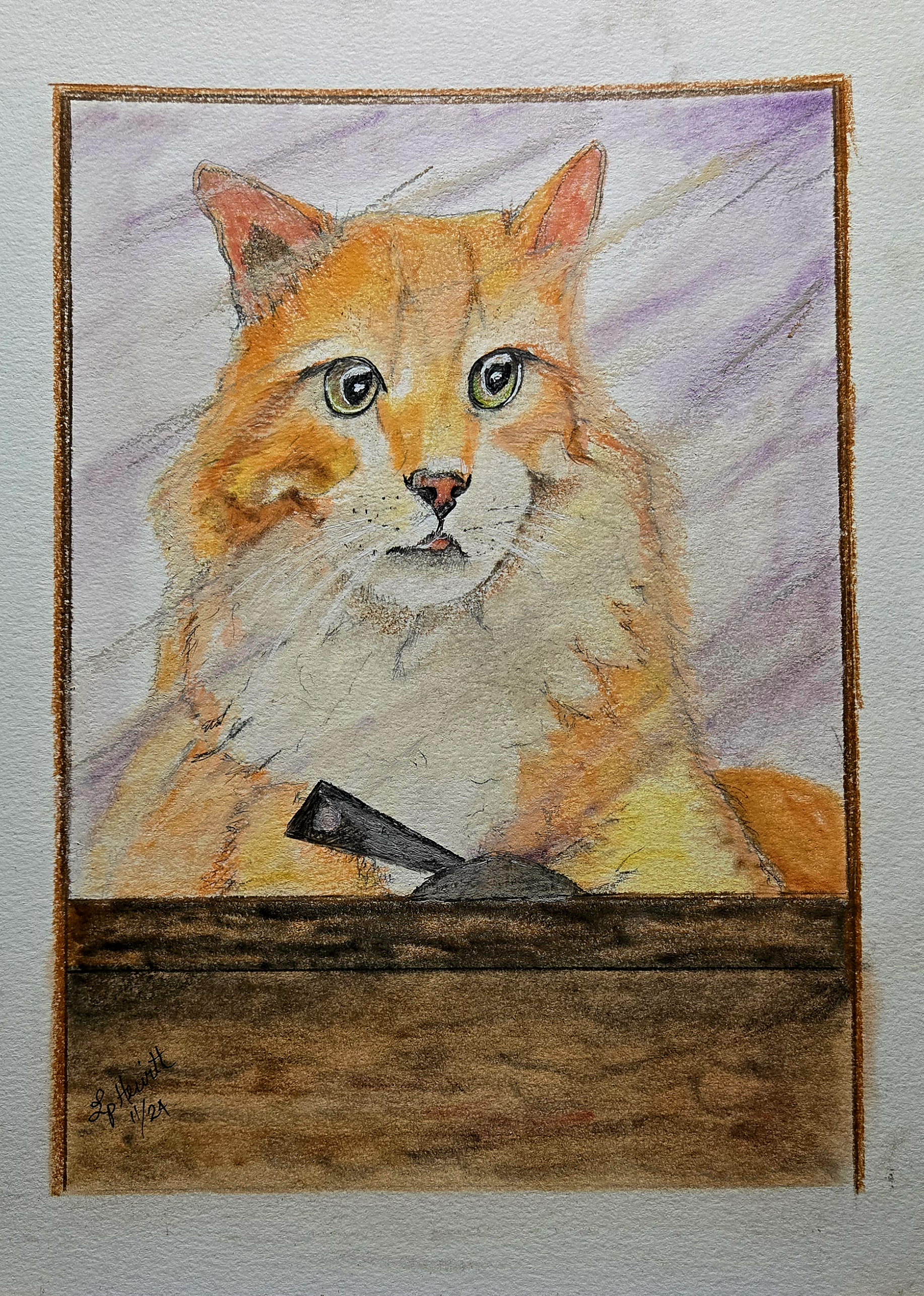 Meet the Adorable Feline