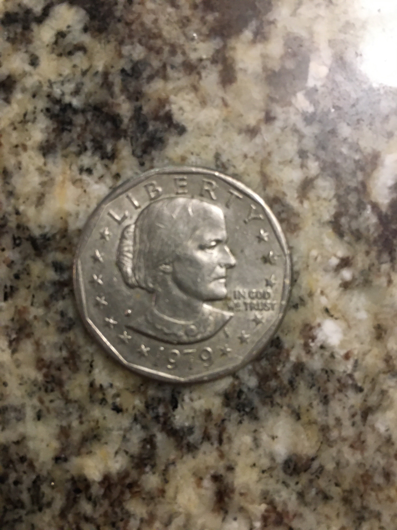 A Glimpse of the 1979 American Silver Dollar