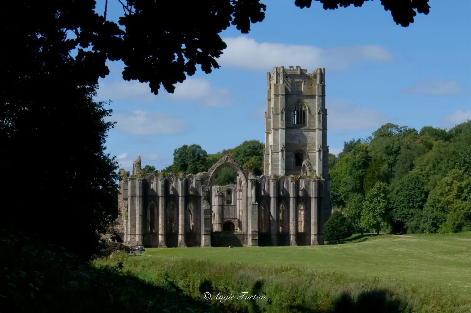 A Glimpse of England's Charm