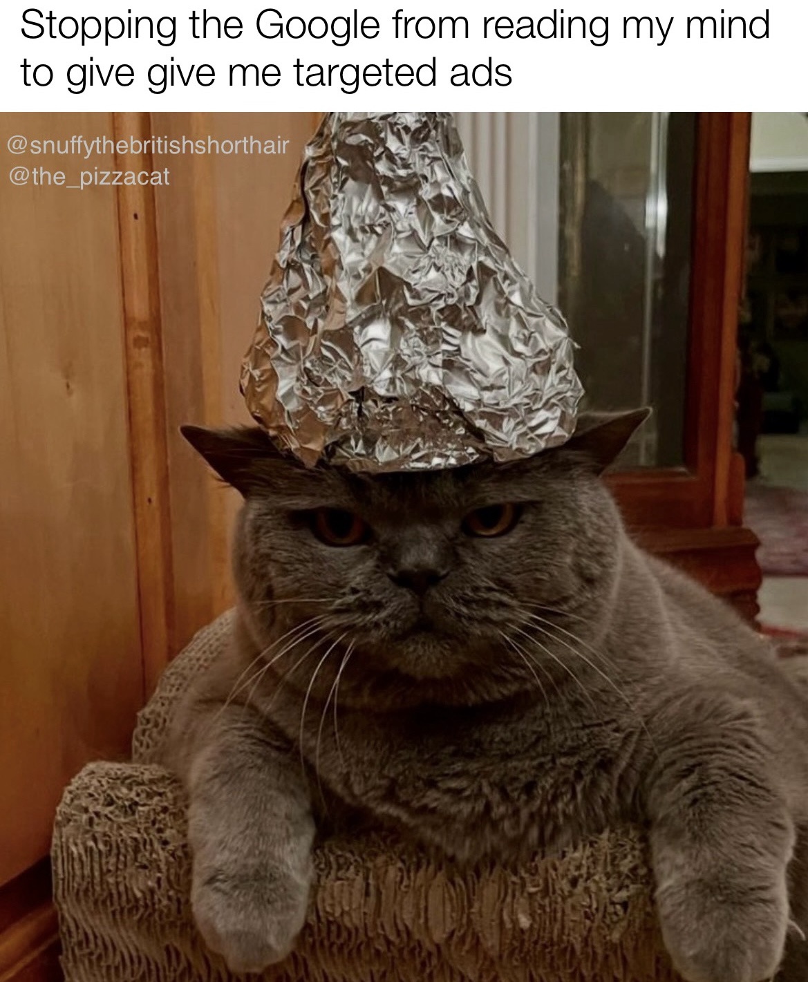 Not this time, Google! You won't catch me off guard.