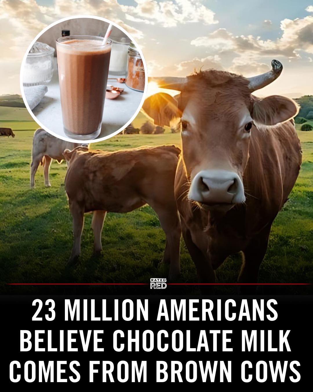 This Revelation Makes Everything Clear