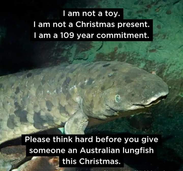 A Crucial Public Service Announcement