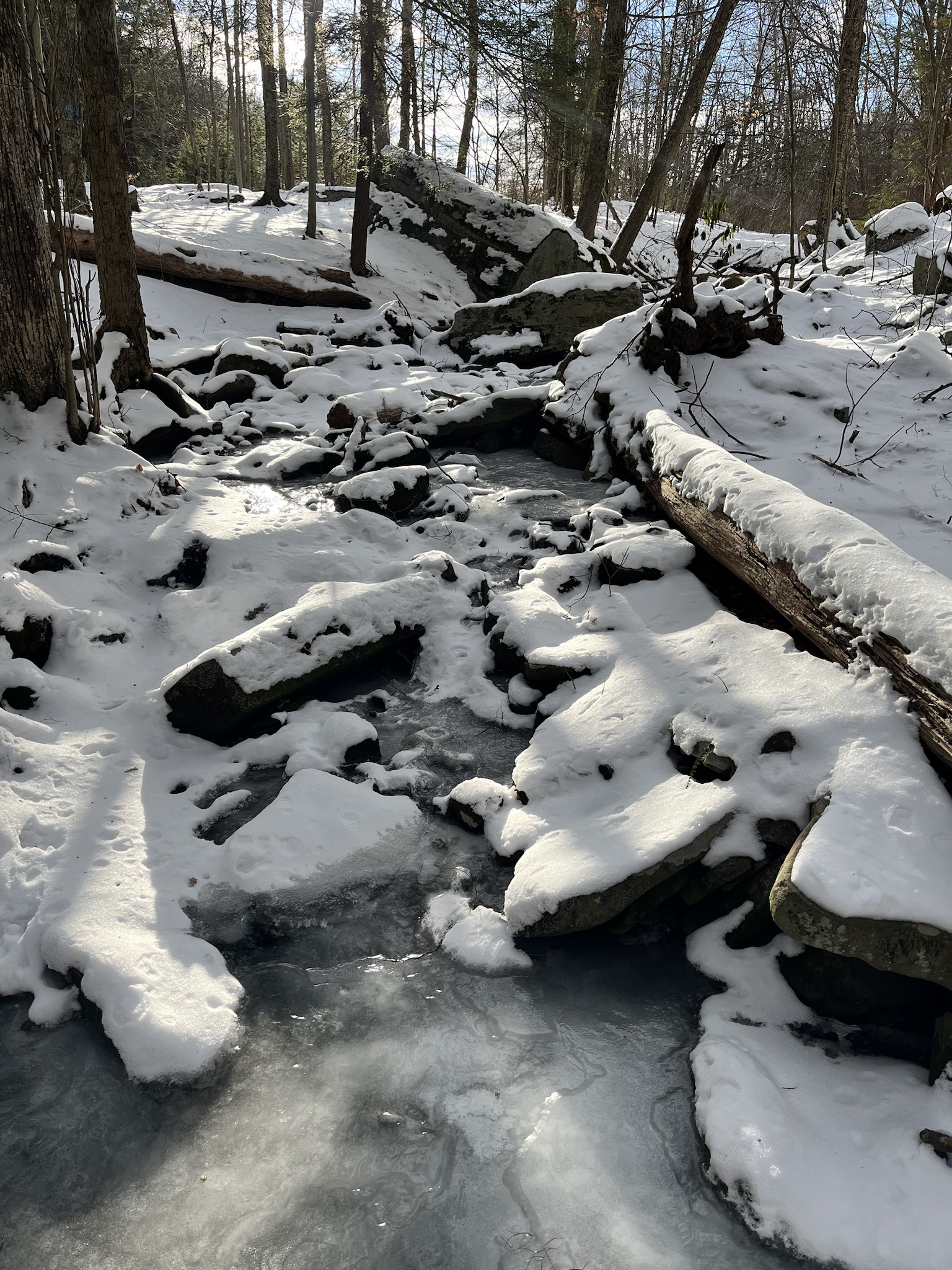 A Chilly Frozen Stream Awaits