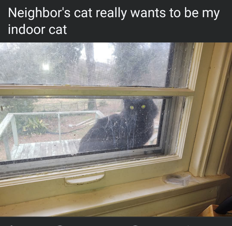 I've Already Got Two in My Collection