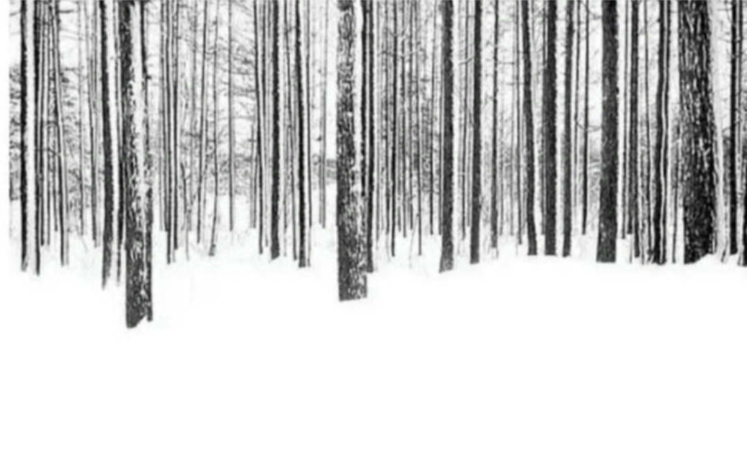 The Winter Barcode: A Seasonal Code