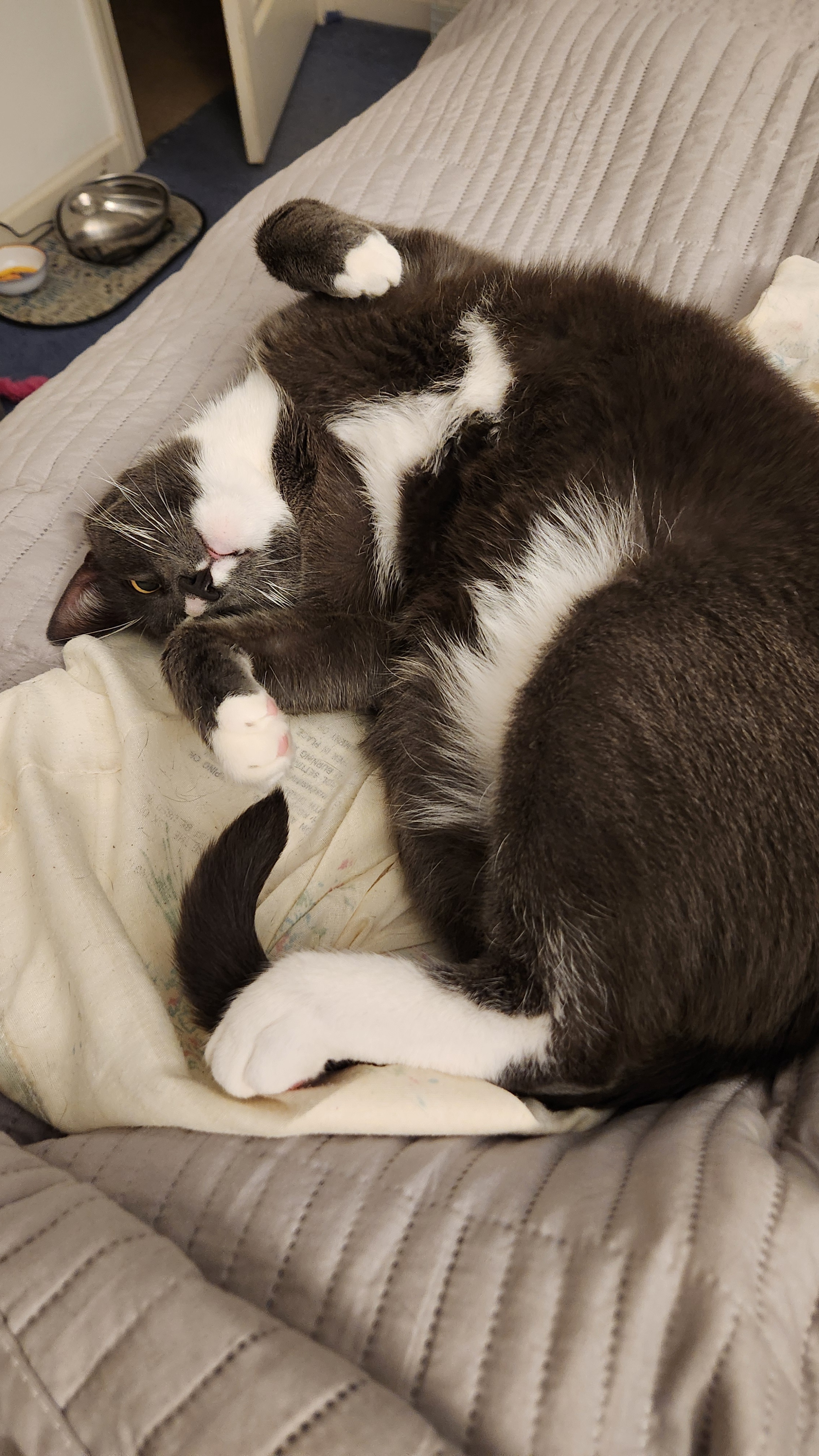 Meet My Precious Baby Boy, Peter
