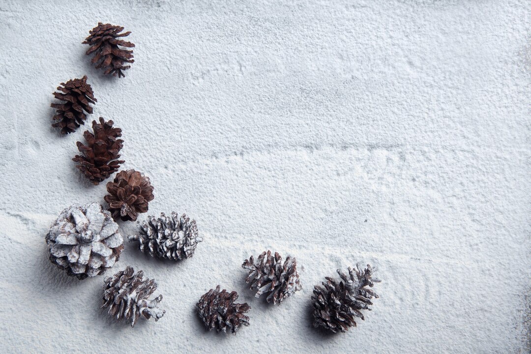 Team Pinecone for the win!