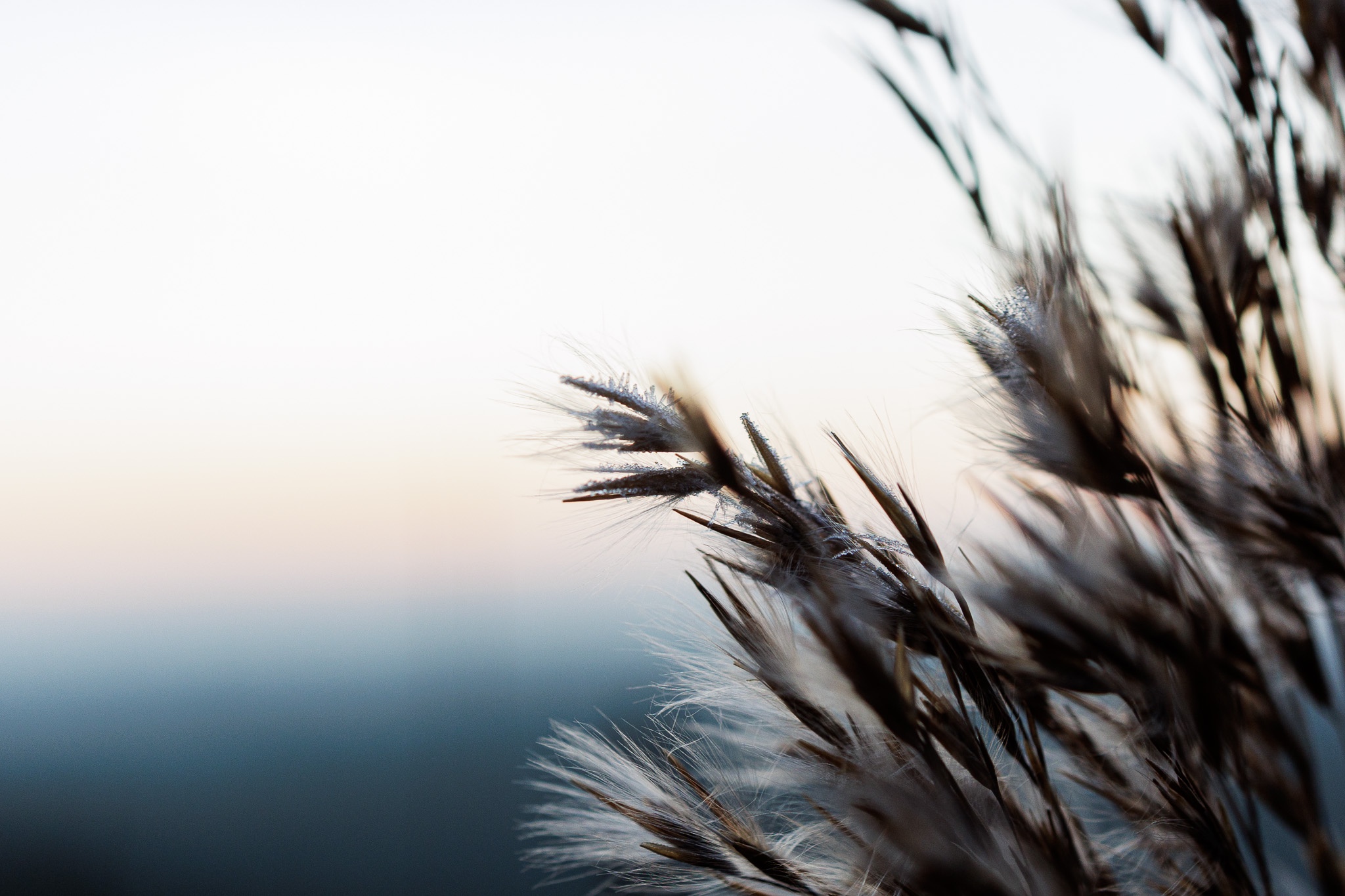 Nature Moment #71: Capturing a Frosty Sunrise