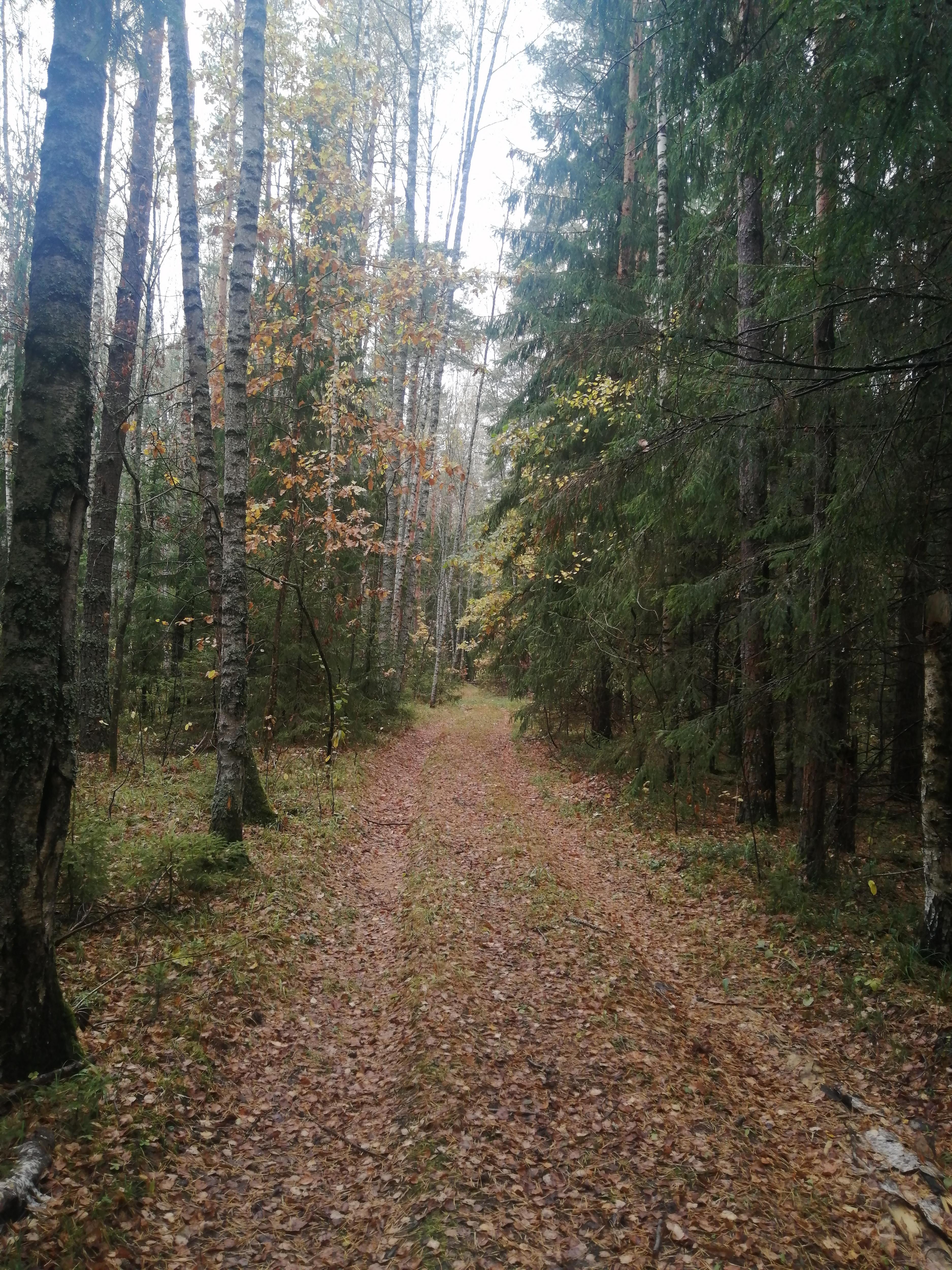 Exploring the Beauty of Vladimirskaya Oblast
