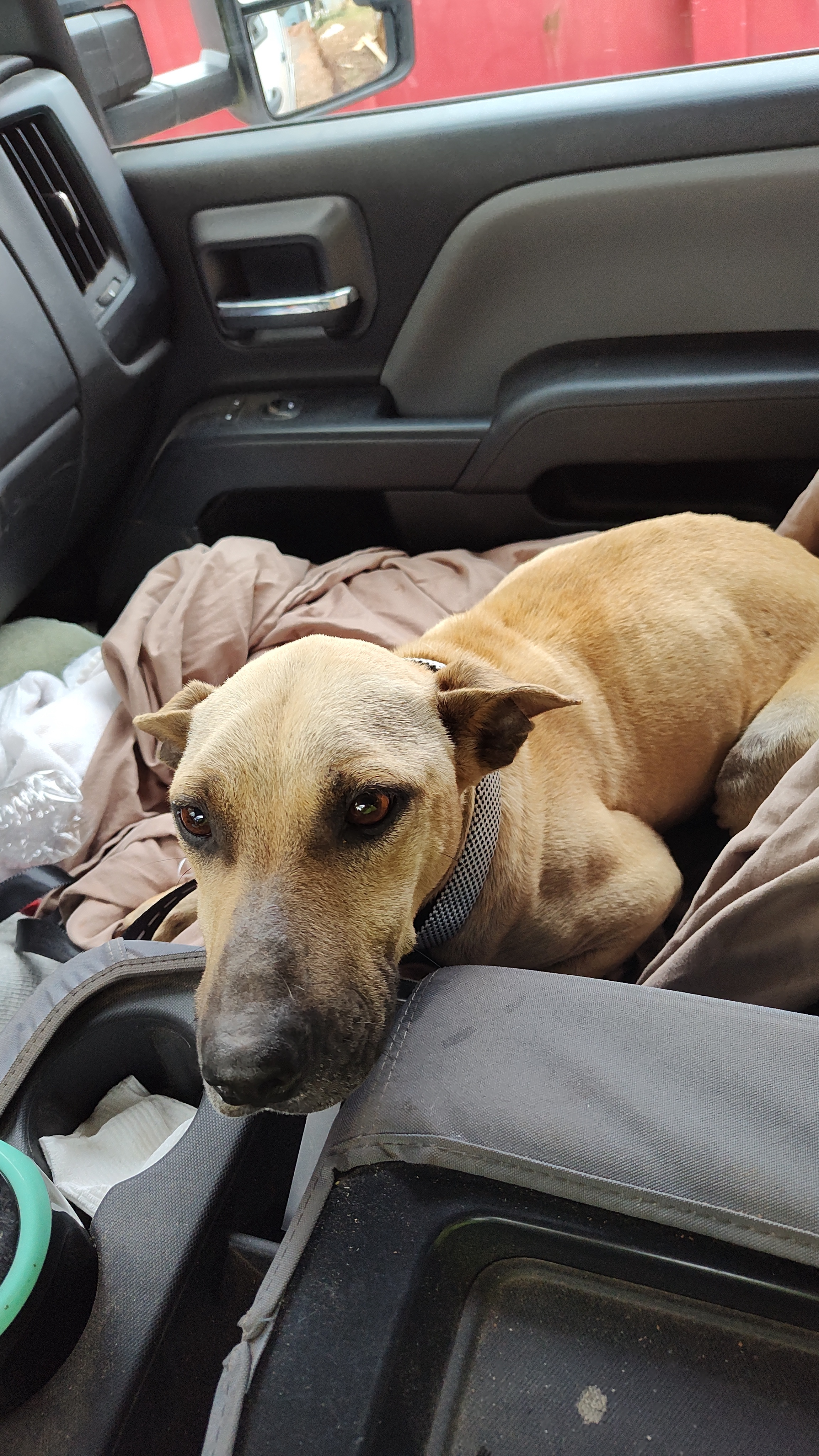 Celebrating One Year with Maggie: Look at Her Progress!