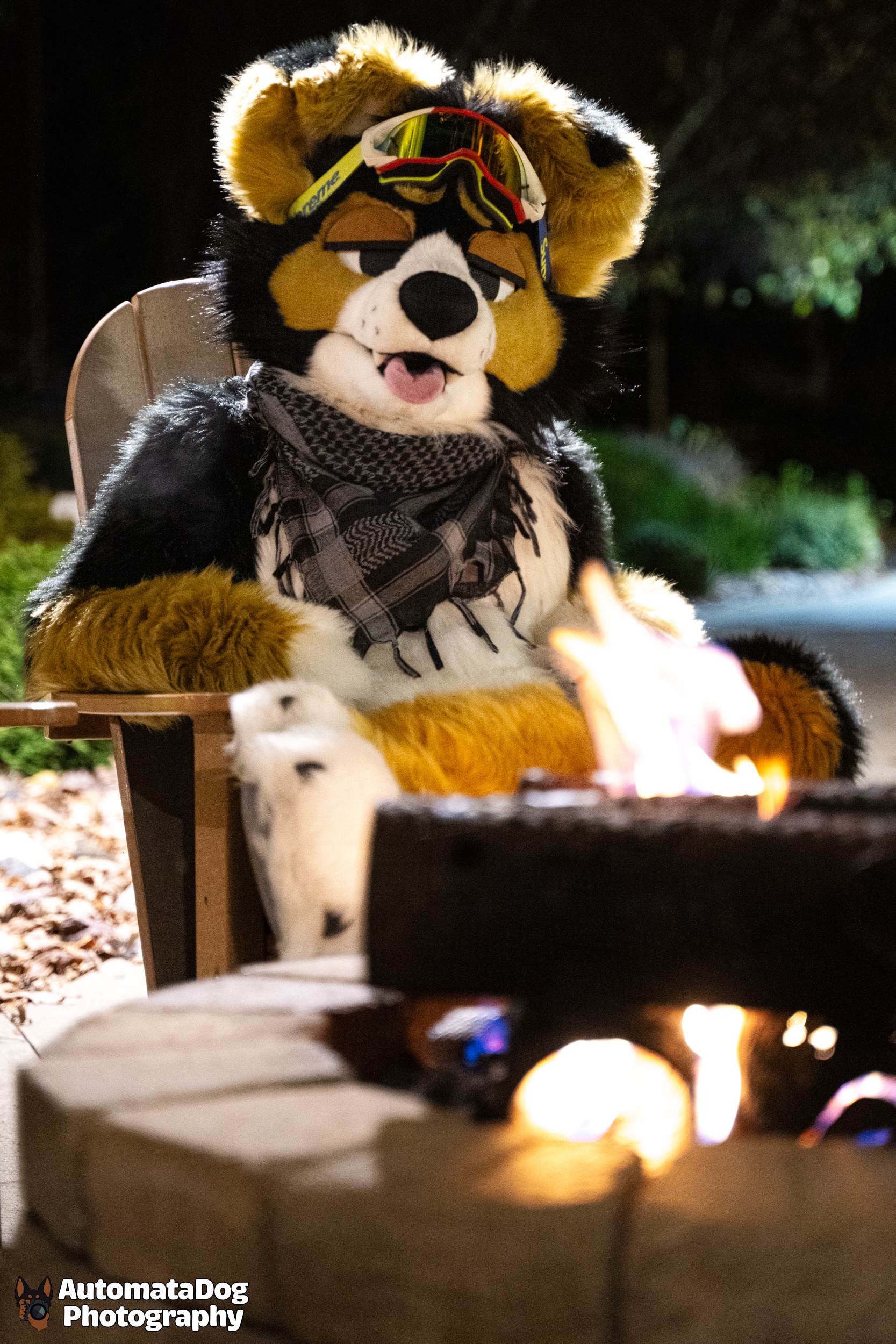 Furry Photography Daily: Capturing Day 424