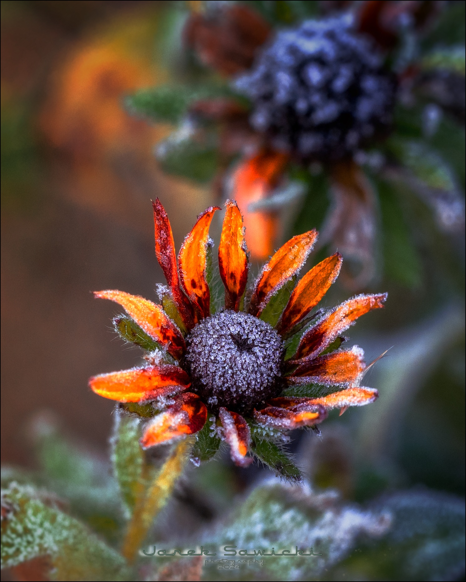 Braving the Cold: -3°C Weather Update