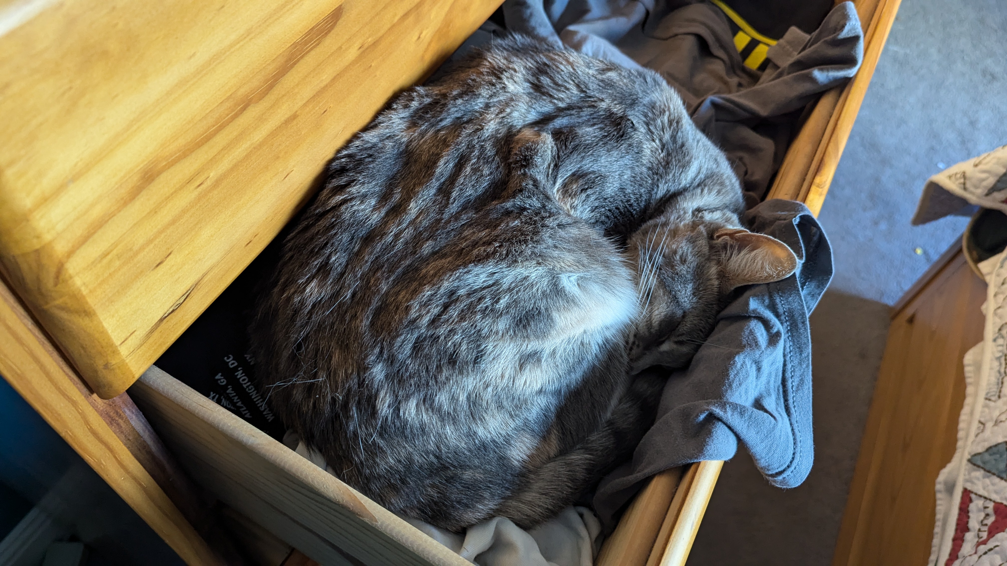 Wishing You a Cozy Caturday Just Like This!