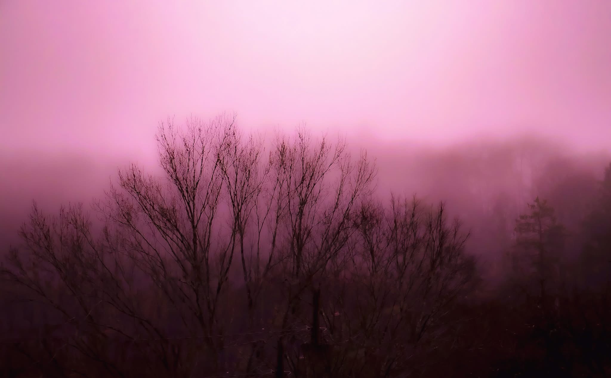 Breathtaking Pink Sunrise